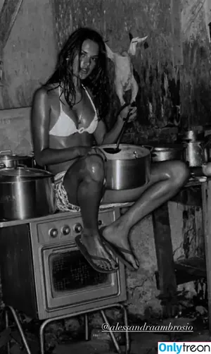 Alessandra Ambrosio / alelovesanja / alessandraambrosio nude photo #3090