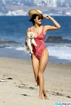 Alessandra Ambrosio / alelovesanja / alessandraambrosio nude photo #3124