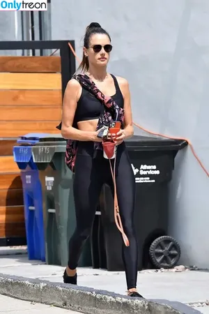 Alessandra Ambrosio / alelovesanja / alessandraambrosio фото голая #3621