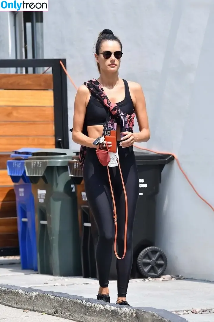 Alessandra Ambrosio голая photo #3624 (alelovesanja / alessandraambrosio)