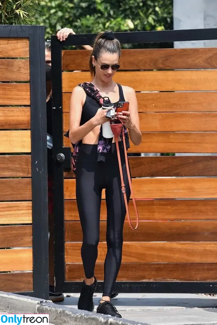Alessandra Ambrosio голая photo #3637 (alelovesanja / alessandraambrosio)