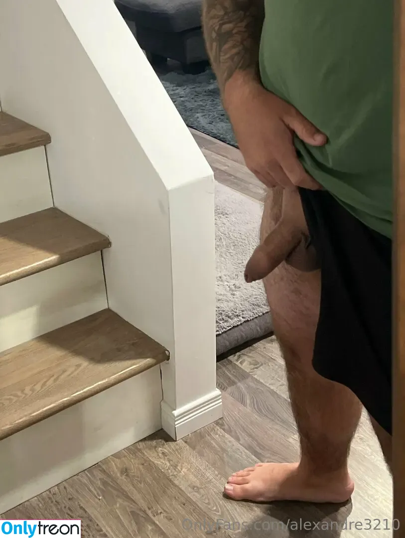 alexandre3210 nude photo #0015 (alexandre3210)