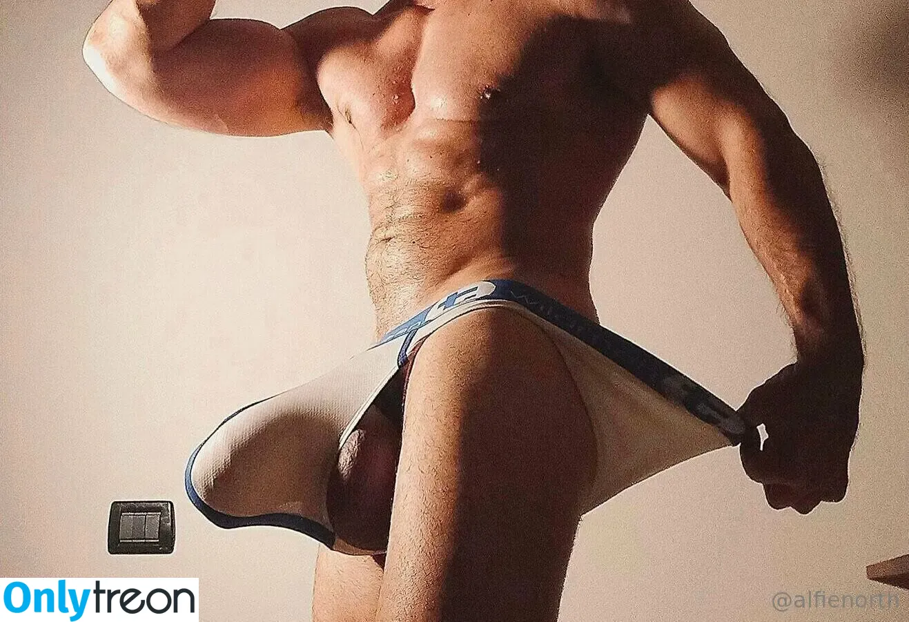 alfienorthfree голая photo #0495 (alfienorth)