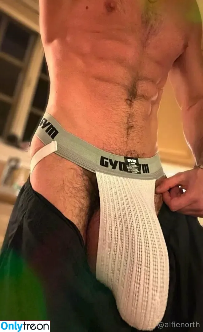 alfienorthfree голая photo #0496 (alfienorth)