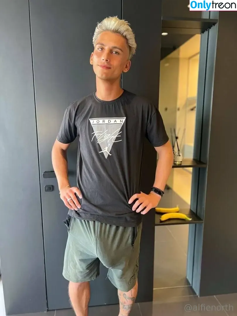 alfienorthfree nude photo #0497 (alfienorth)