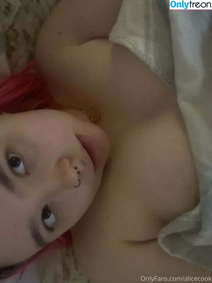 alicecook nude photo #0027 (alicecook_)