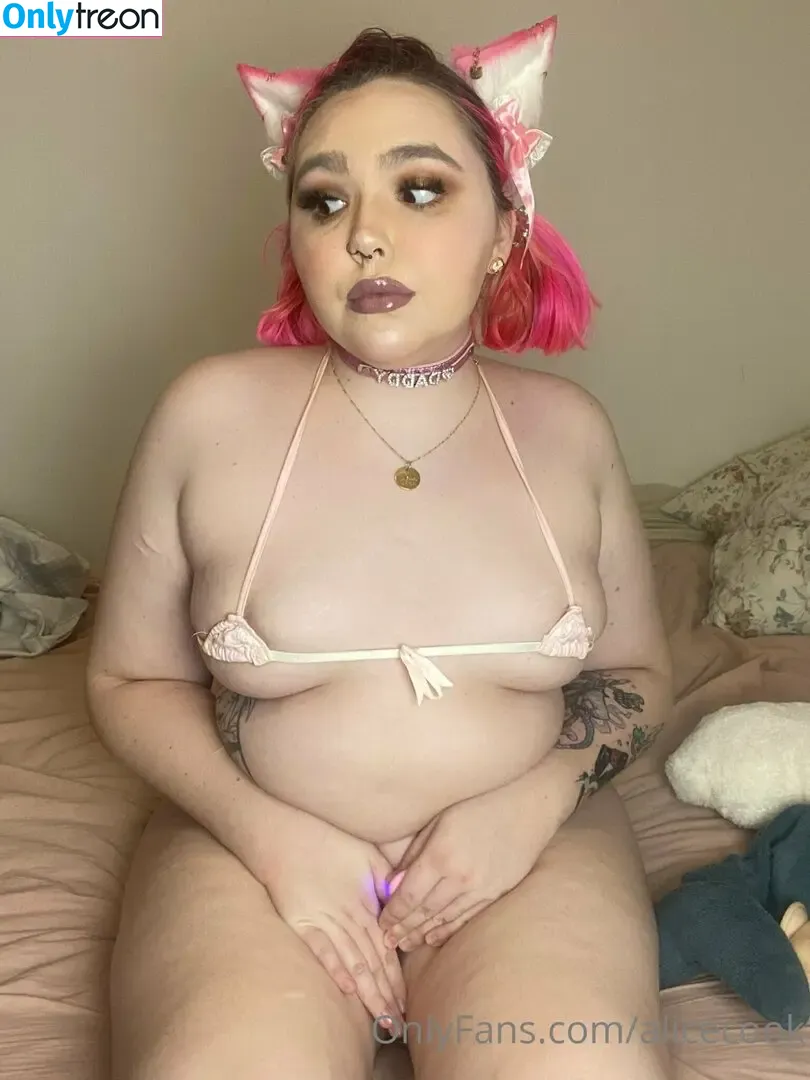 alicecook nude photo #0035 (alicecook_)