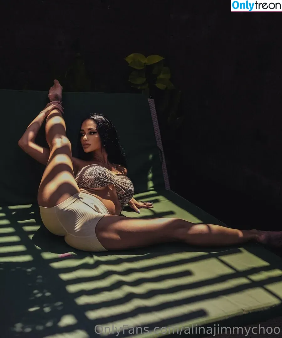 alinajimmychoo nude photo #0183 (alinajimmychoo)
