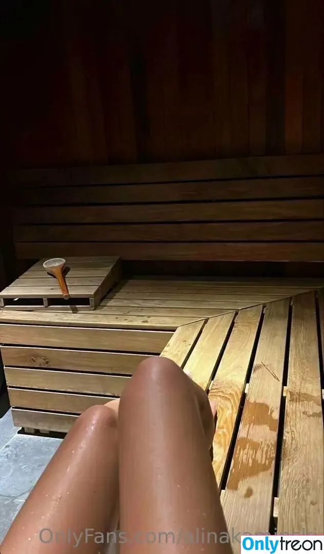 alinakaminski nude photo #0037 (alina._.kaminski)
