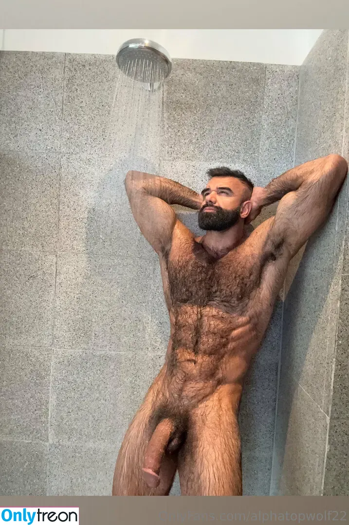 alphatopwolf22 голая photo #0223 (alphawolfcvlt)