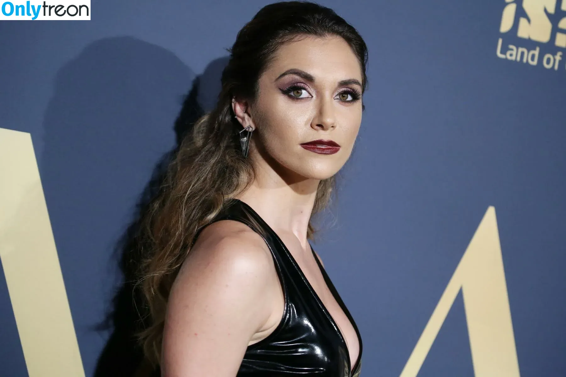 Alyson Stoner голая photo #0040 (alysonstoner)