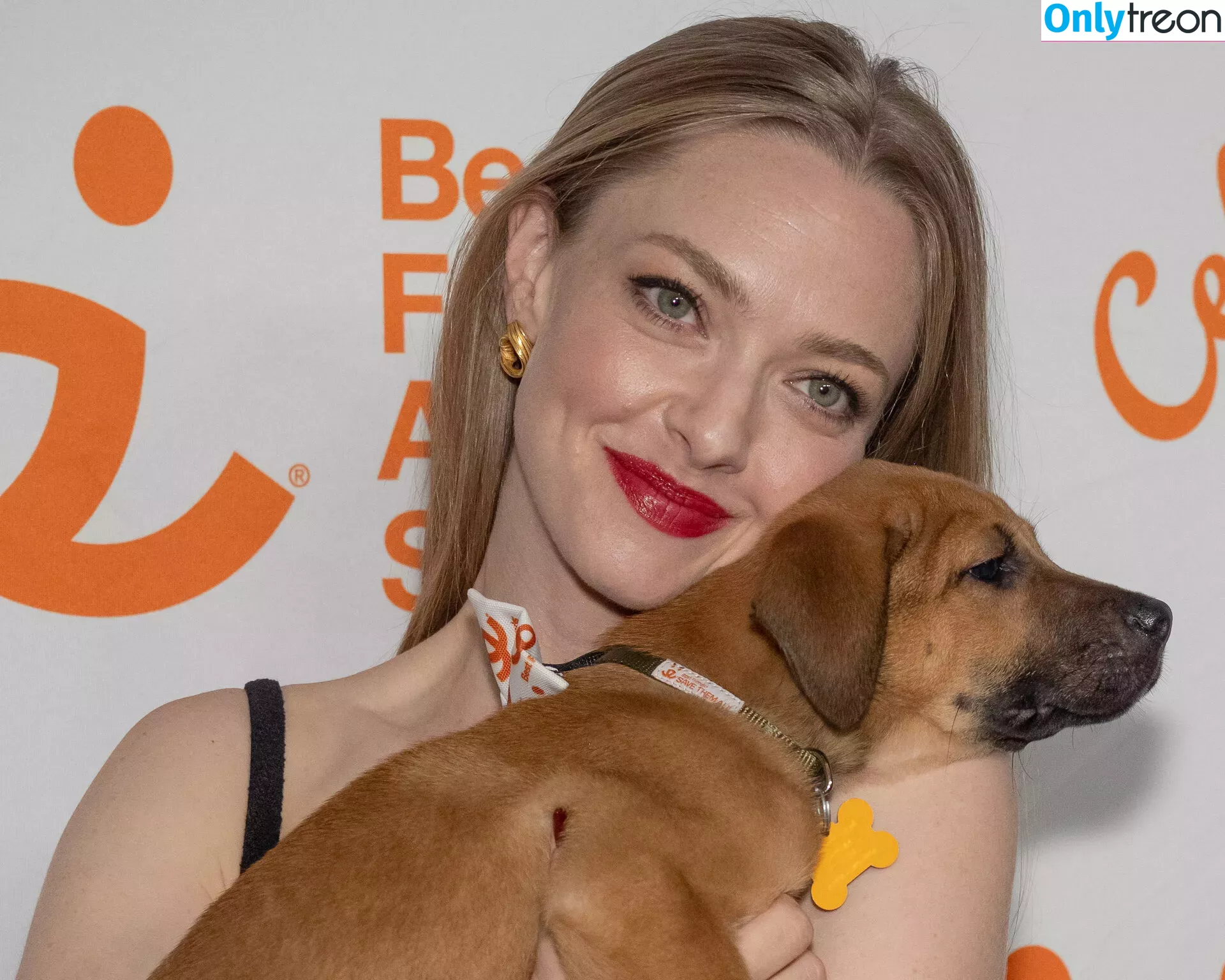 Amanda Seyfried nude photo #0407 (AmandaSeyfried / mingey)