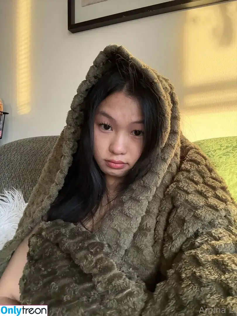 Amina Li голая photo #0042 (peachystrudel / realaminali)