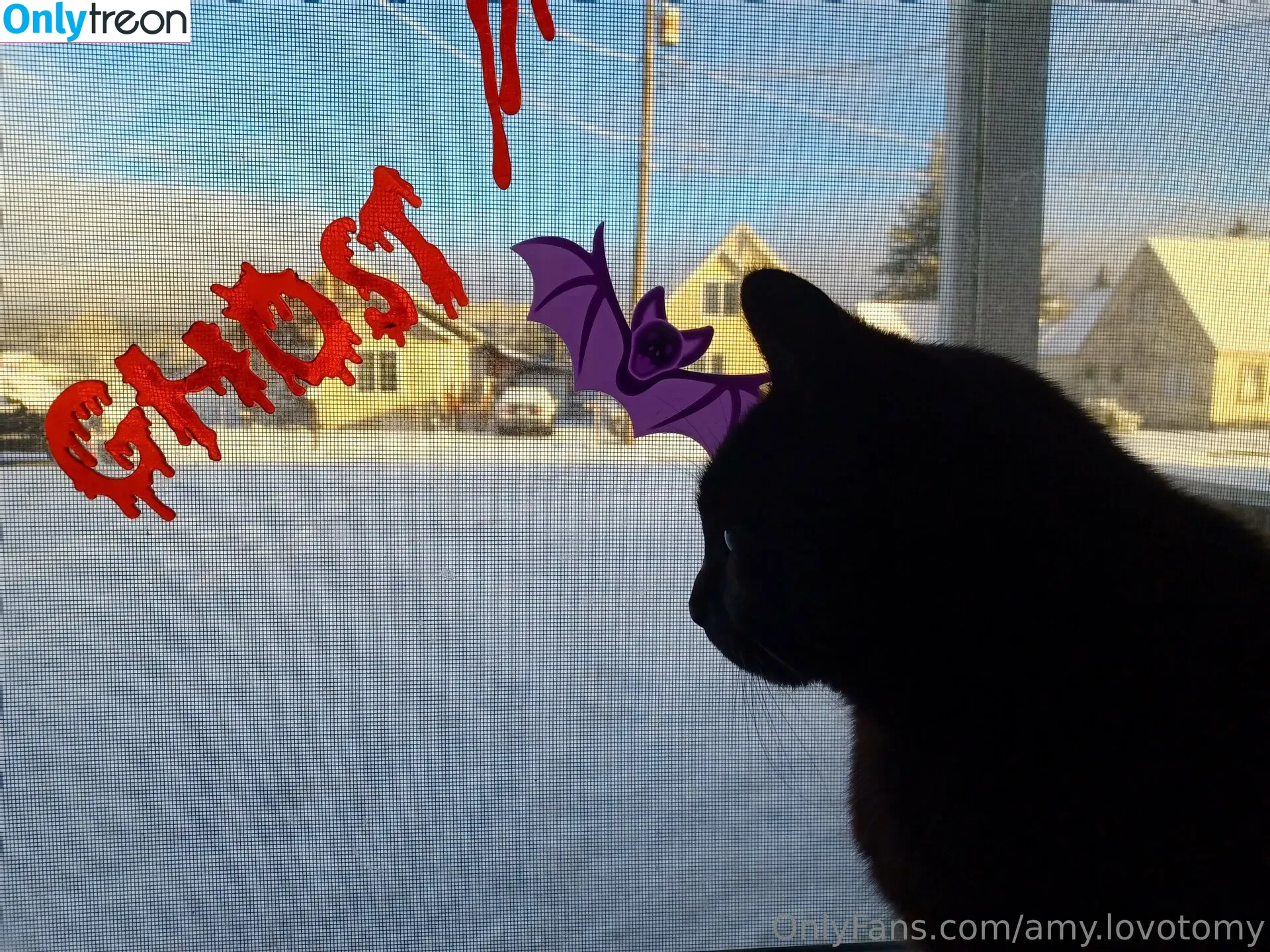 amy.lovotomy голая photo #0148 (hallo_met_amy)