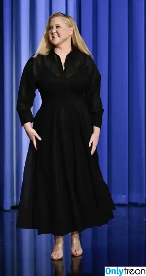 Amy Schumer / amyschumer фото голая #0073