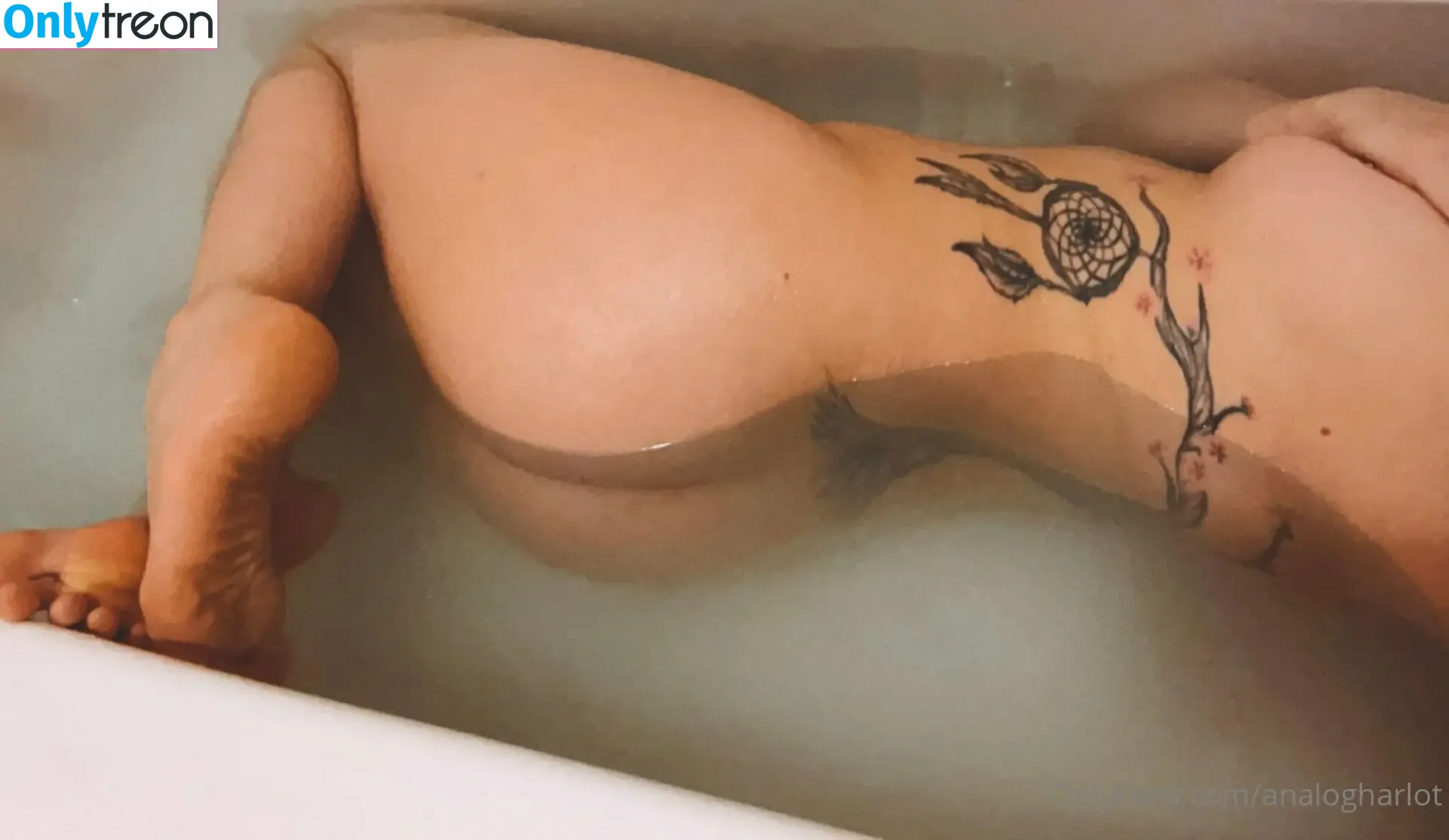 analogharlot nude photo #0008 (analogheld)