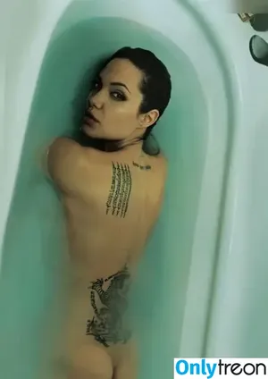 Angelina Jolie / angelinajolie nude photo #0448