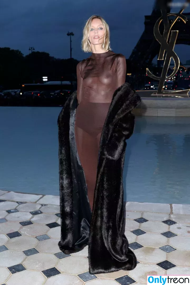 Anja Rubik nude photo #0134 (anja_rubik)