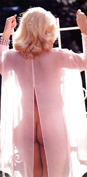 Anna Nicole Smith / annanicolesmith1 / dollarbie nude photo #0087