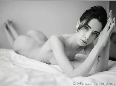 annie_cherry / annie_aa / theanniecherry nude photo #0187