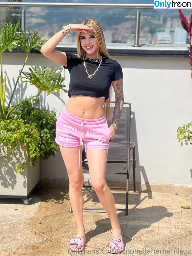 antonellahernandezz nude photo #0135 (antonellahernandez)