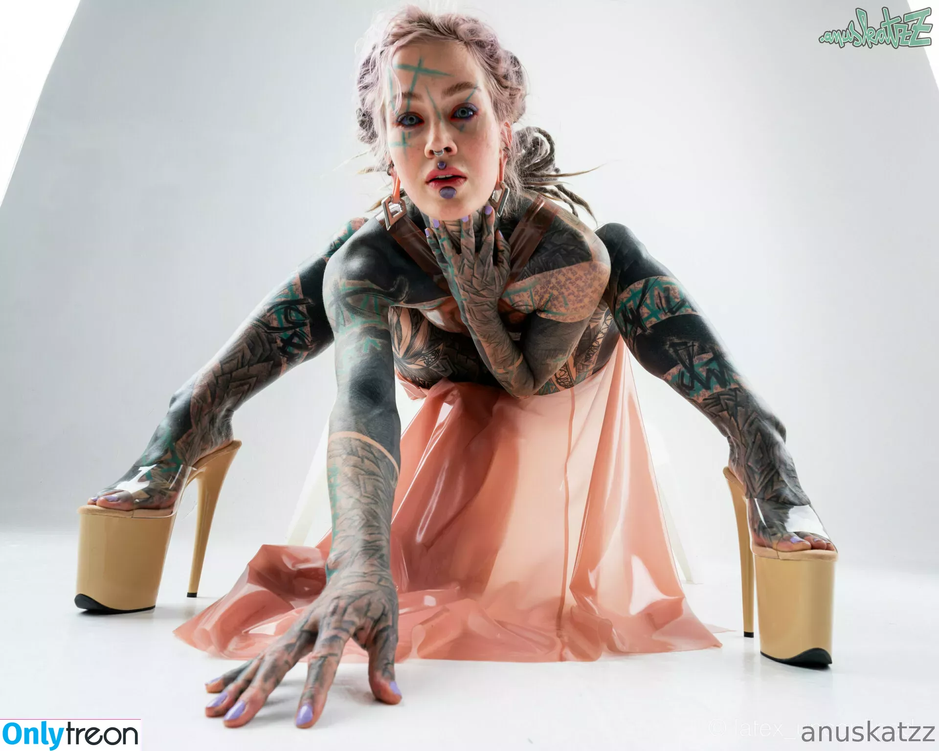 anuskatzzvip голая photo #0116 (anuskatzzvip)