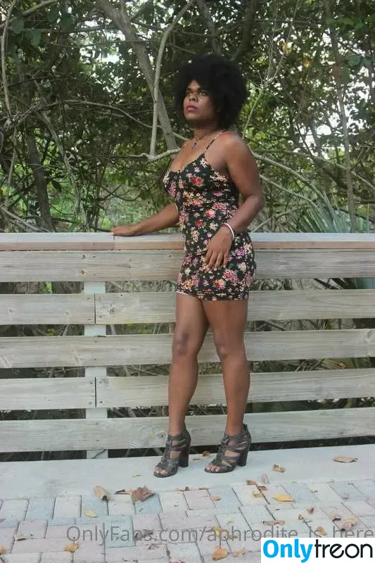 Aphrodite nude photo #0022 (TS_Aphrodite / aphrodite_._._ / aphrodite_is_here)