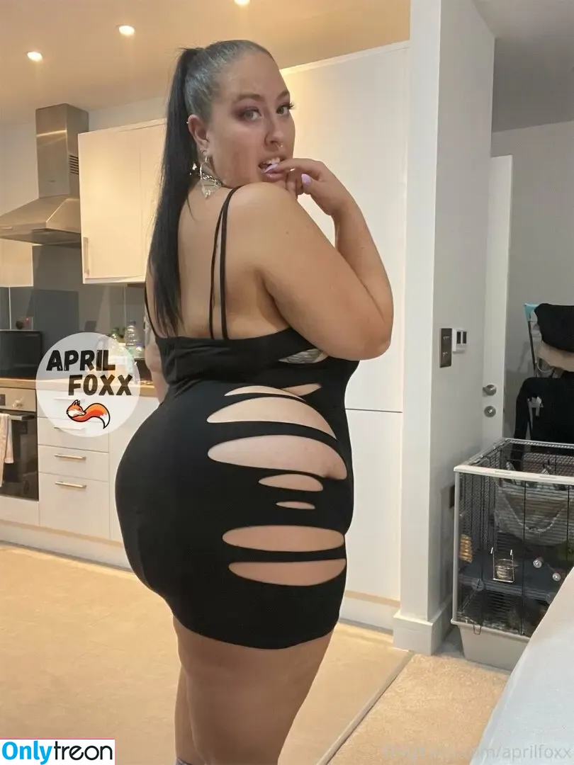 aprilfoxx голая photo #0777 (april4life)