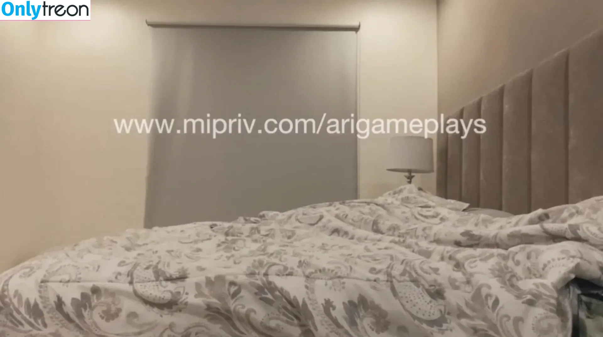 AriGameplay nude photo #0003 (ari_gameplays / arigameplays)