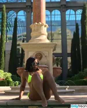 Ashanti / shawnababyxxx nude photo #0471