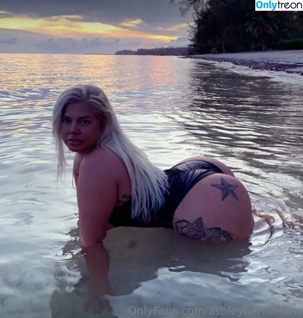 ashleybarbiefans nude photo #0037 (officialashleybarbie)
