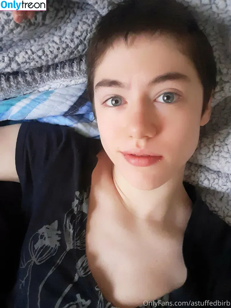astuffedbirb nude photo #0001 (birdyinstagram)