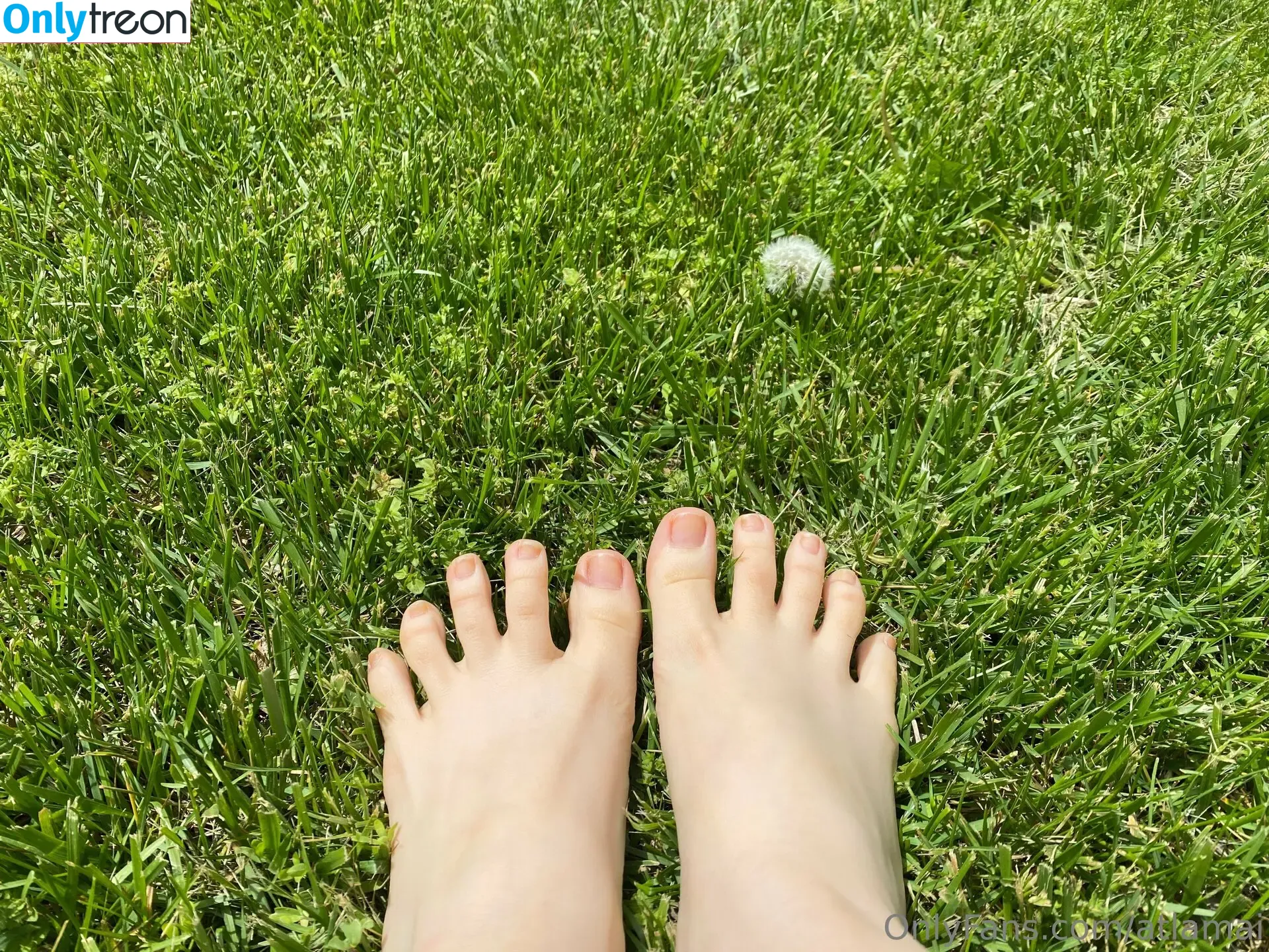 atlamai nude photo #0057 (atlamai)