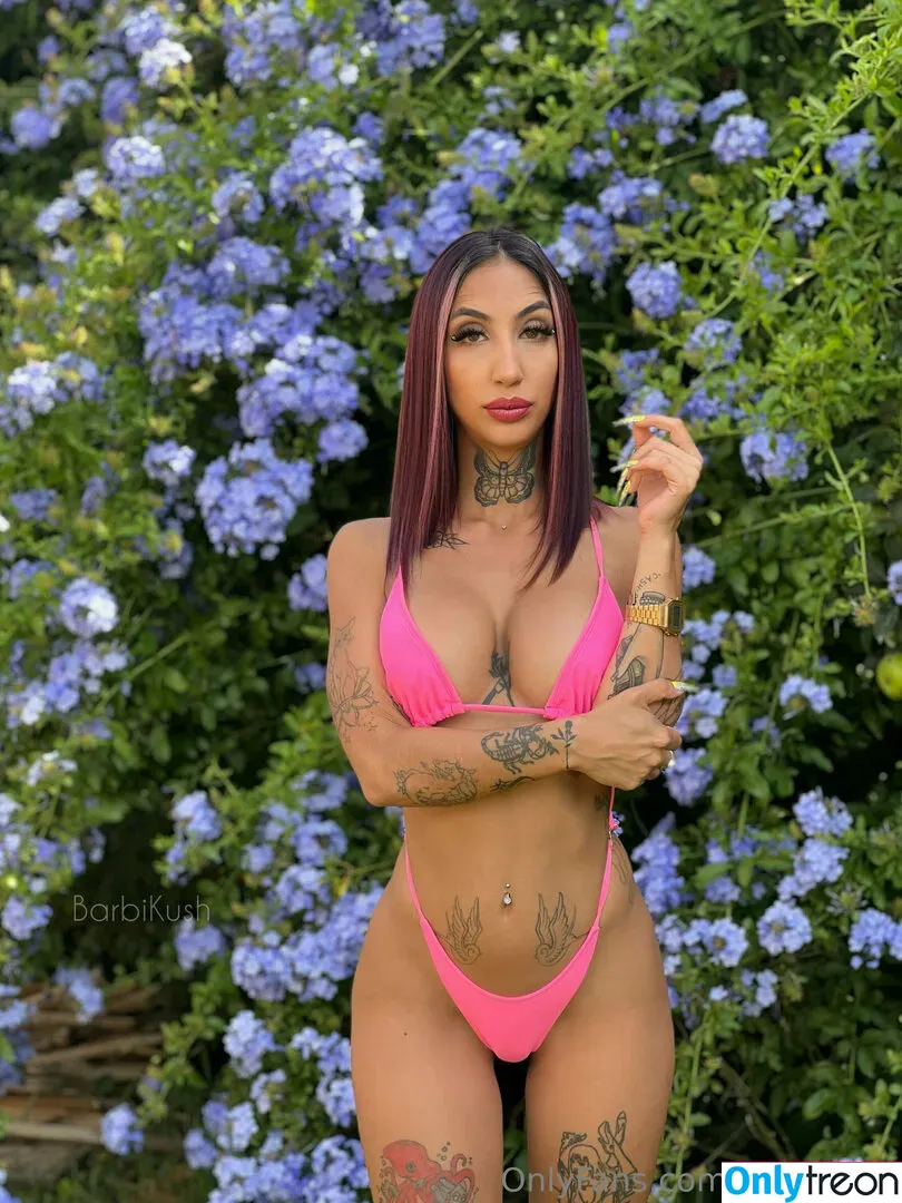 barbikush nude photo #0216 (barbikush)