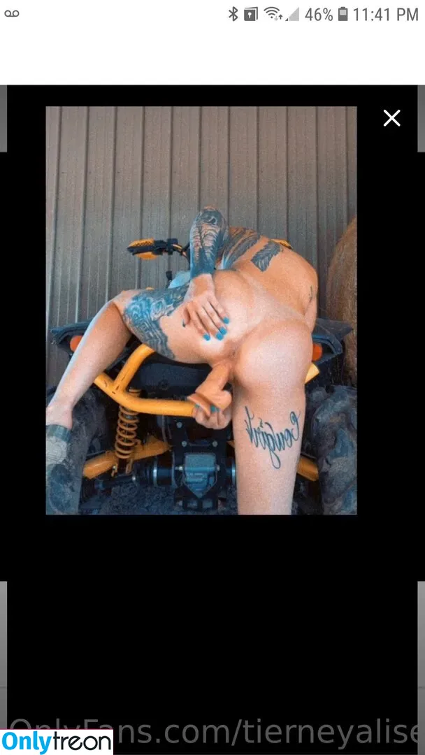 Barrel_racer71 nude photo #0090 (Tierneyalise71 / barrel_racer71_1)