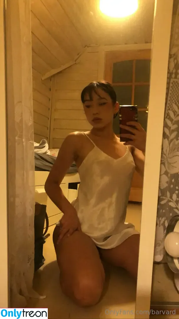 barvard nude photo #0032 (barvard)