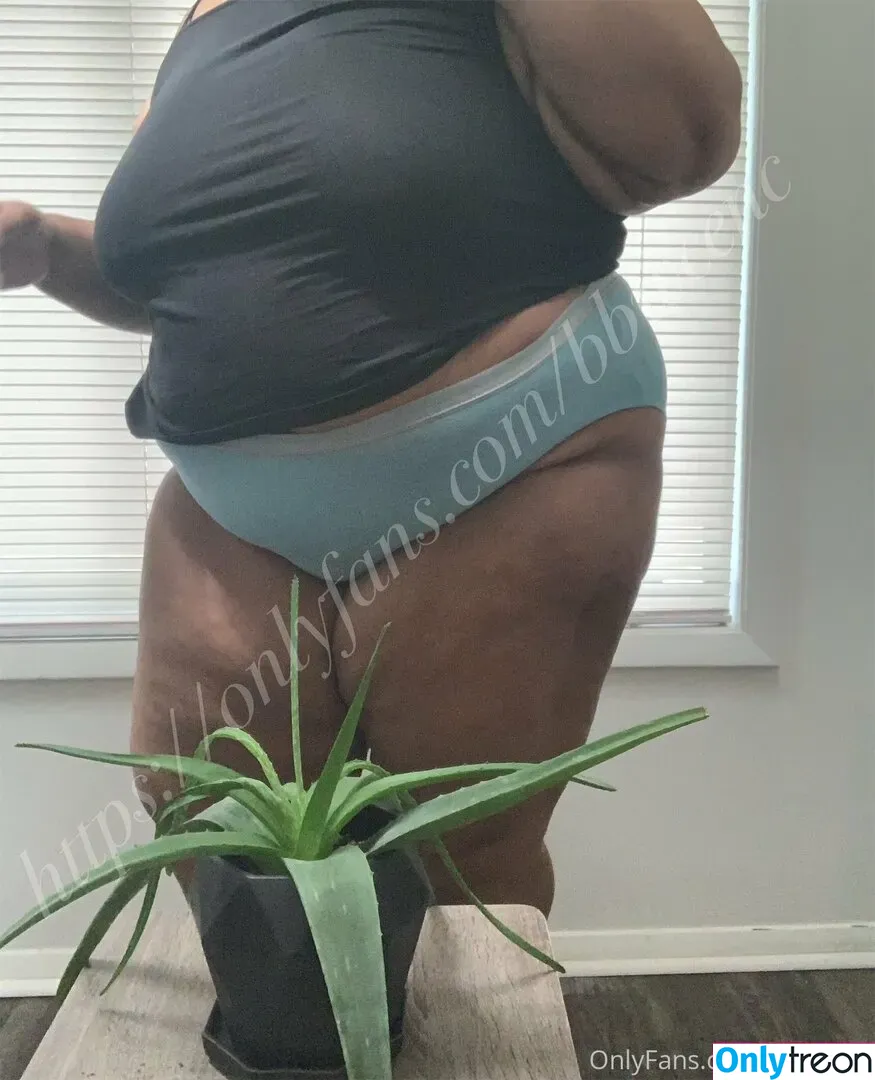 bbwcenc nude photo #0032 (bbw.cen)