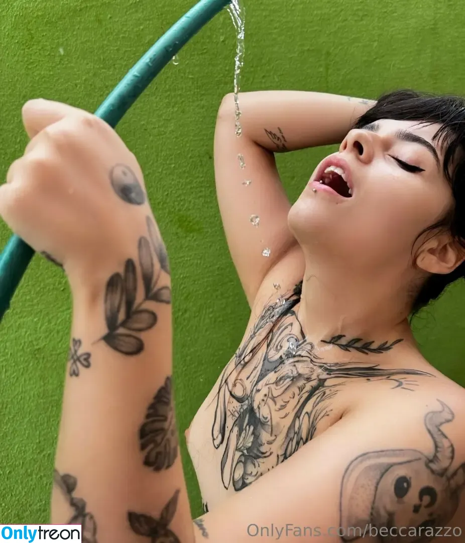 Beccarazzo nude photo #0253 (Beccarazzo)