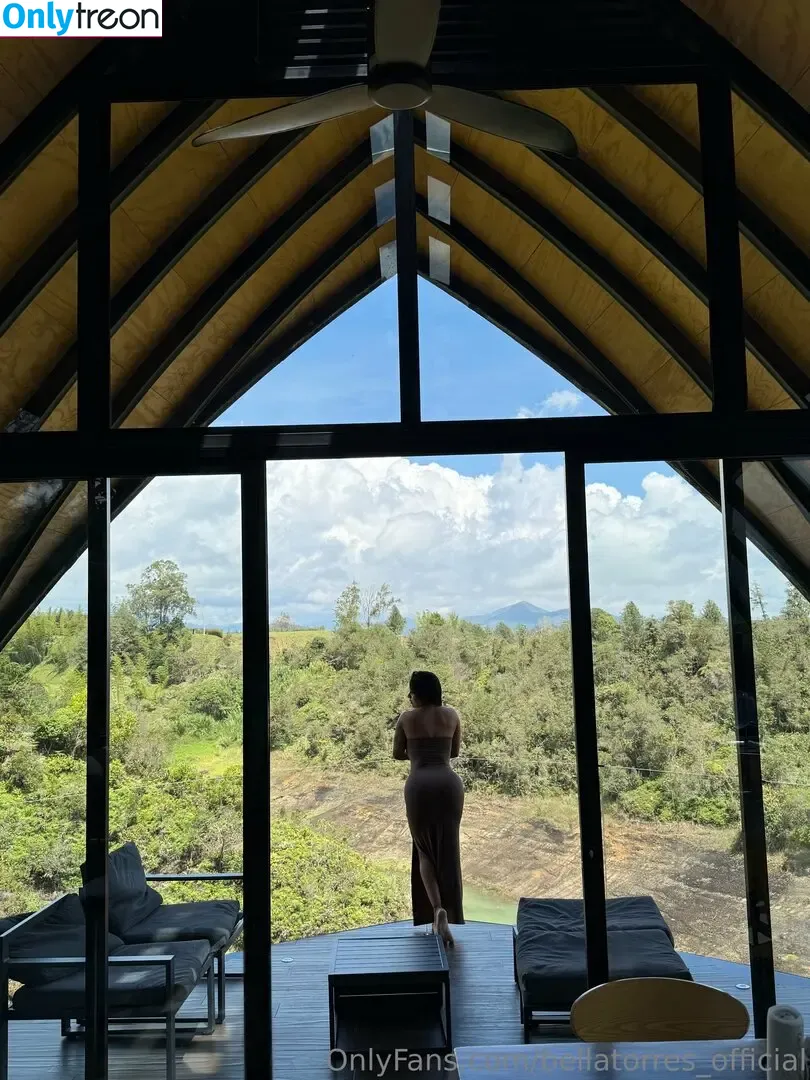 bellatorres_official nude photo #0189 (bellatorres_official)