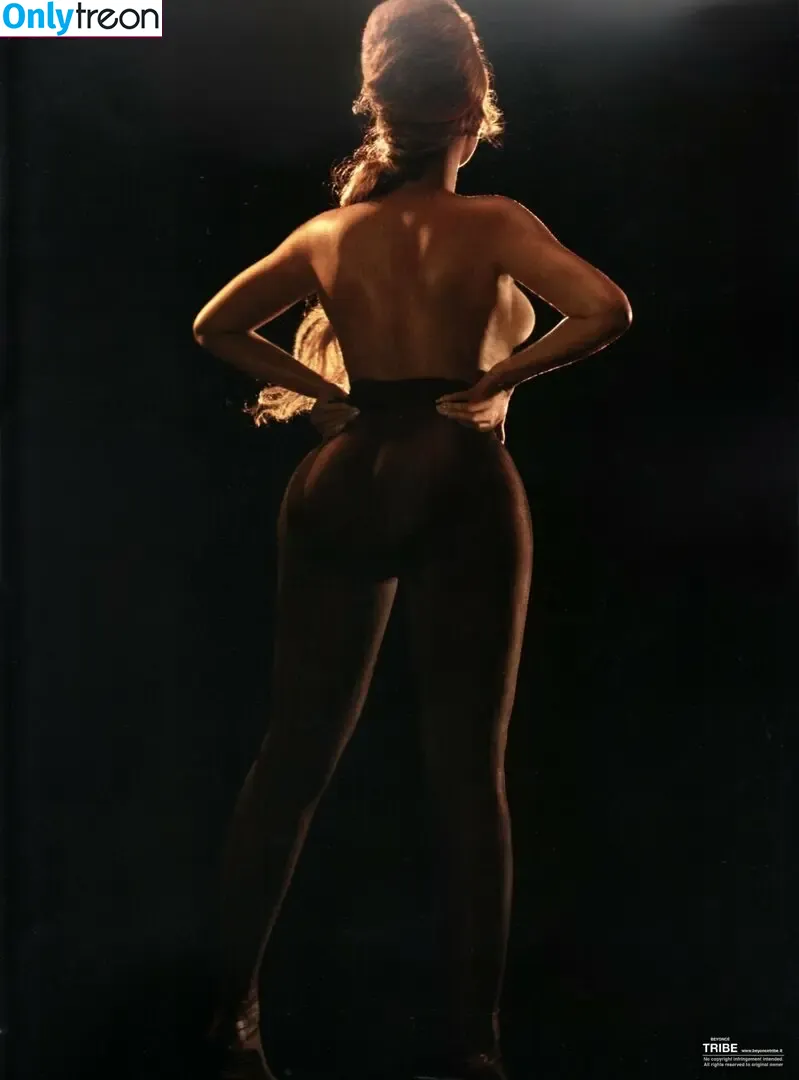 Beyonce nude photo #1374 (beyoncenavago)