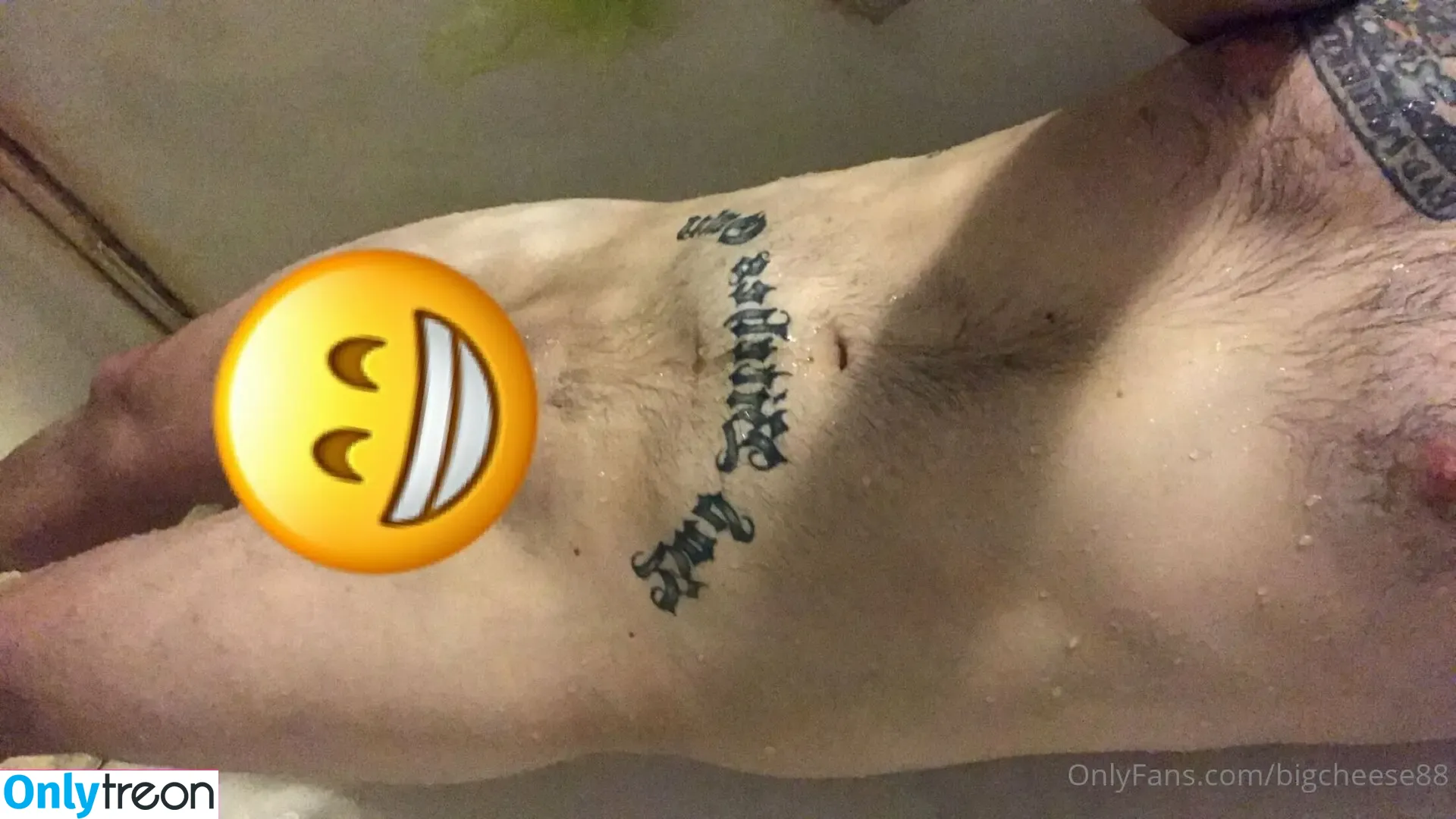 bigcheese88 голая photo #0025 (bigcheese88)