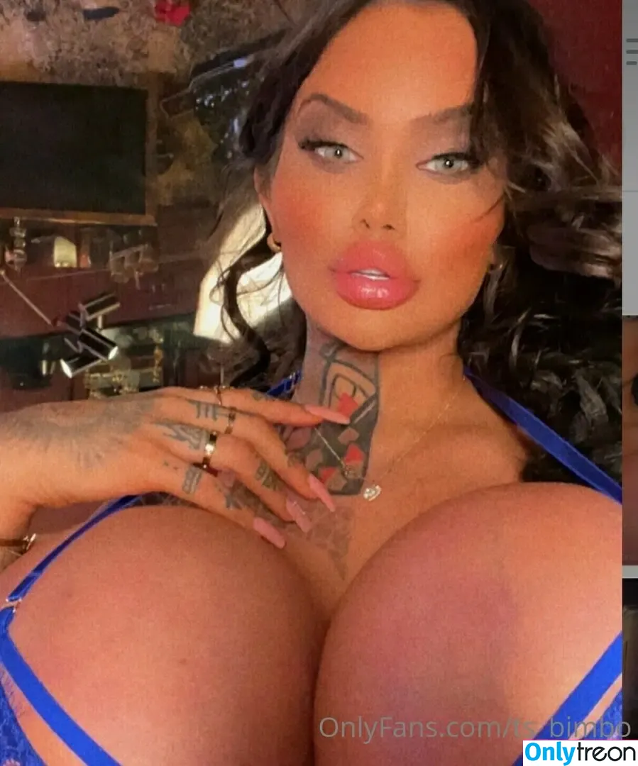 bimbo_nicki nude photo #0013 (nikibimbo)