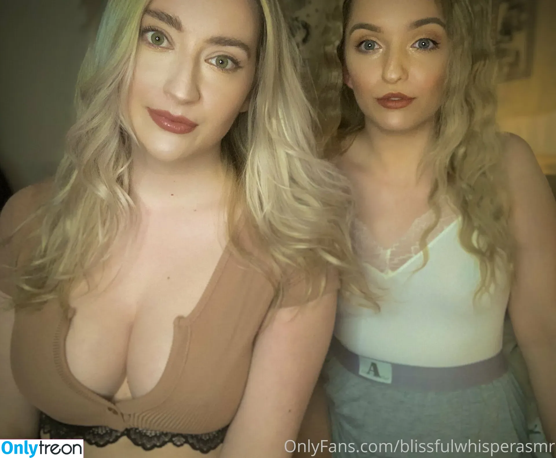 blissfulwhisperasmr nude photo #0019 (blissfulasmryt)