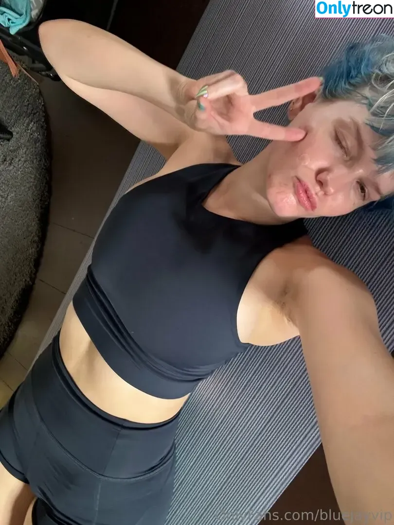 bluejayvip nude photo #0001 (bluejay)
