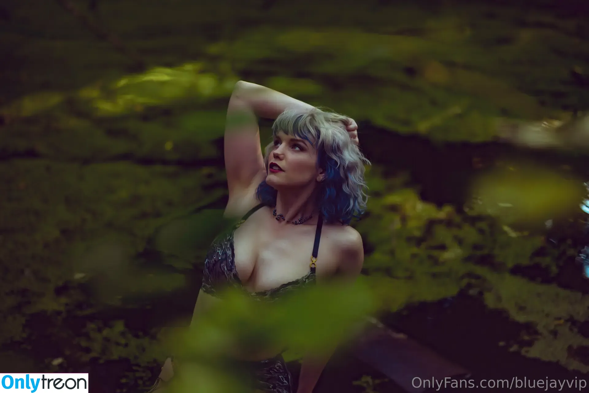 bluejayvip голая photo #0013 (bluejay)