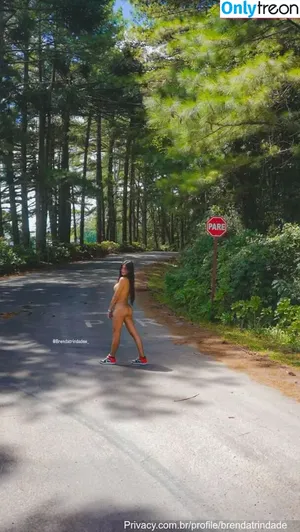 Brenda Trindade / bre_trindade / brendatrindade / brendatrindadee_ nude photo #1030