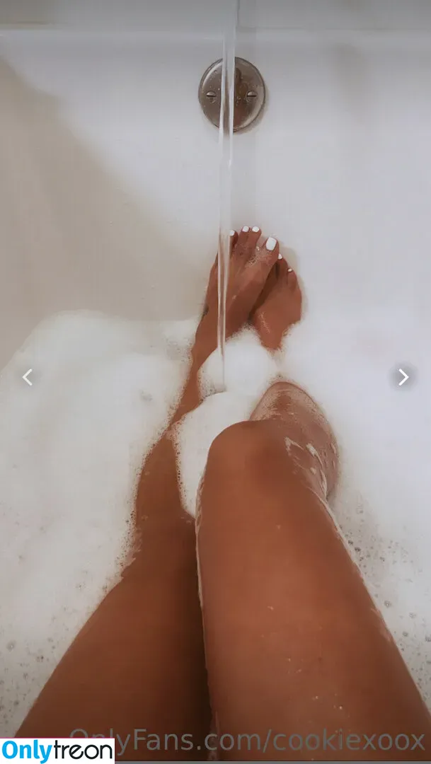 Bri Cookie голая photo #0106 (bri.cookie)