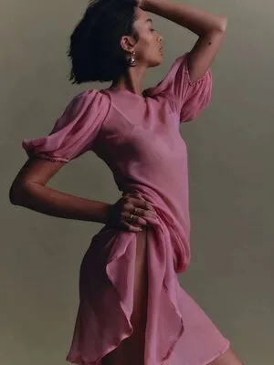 Bridget Gao Hollitt / reversegaogurl фото голая #0168