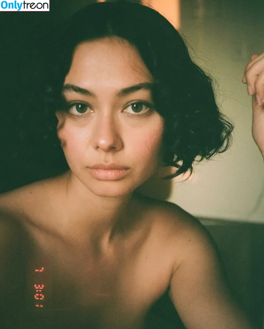 Bridget Gao Hollitt голая photo #0026 (reversegaogurl)