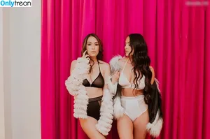 Brie Bella / brie фото голая #0002